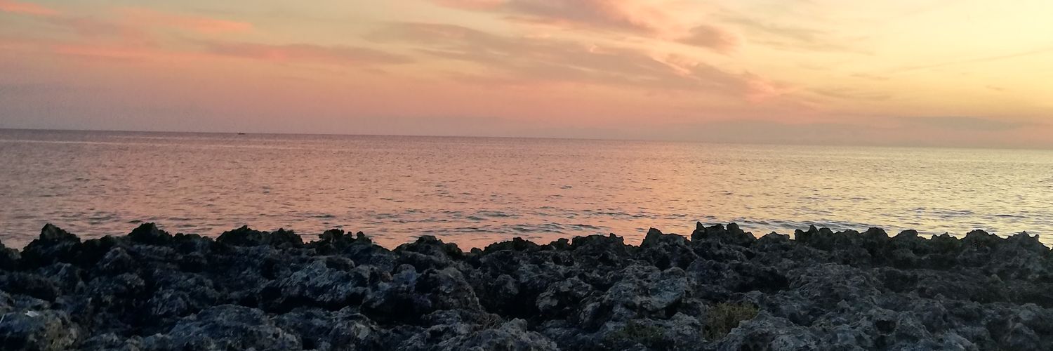 GiuTweets_'s profile banner image