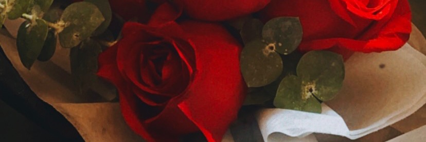 cfrappe's profile banner image