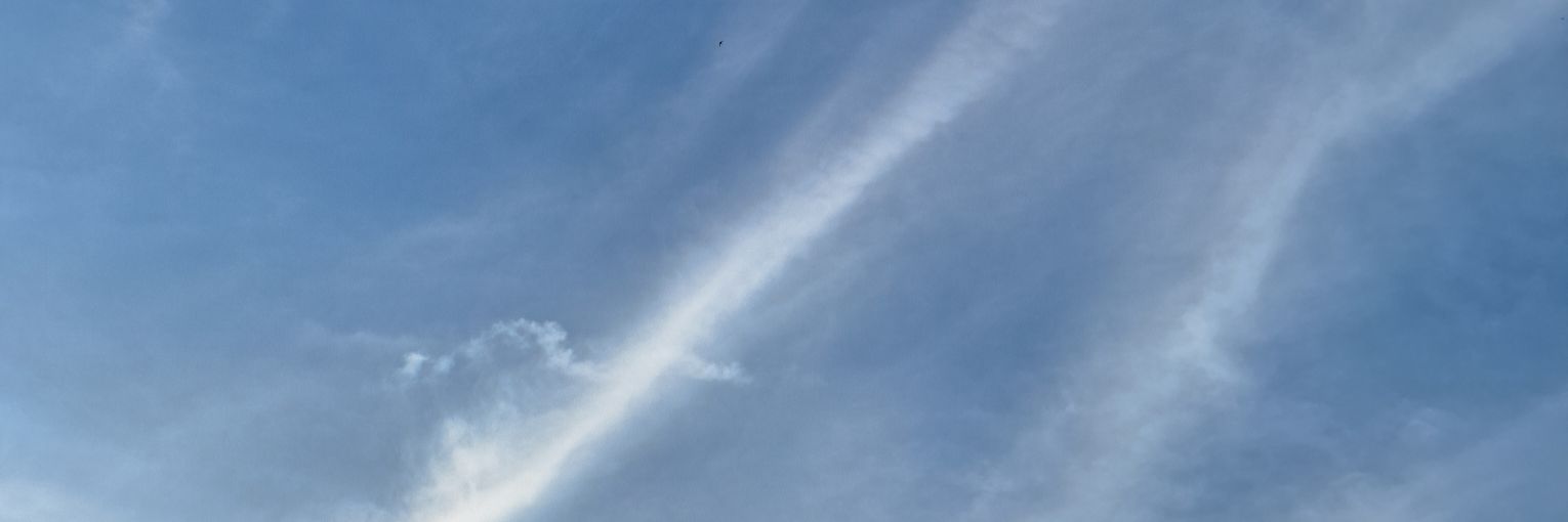 happinessiscat's profile banner image