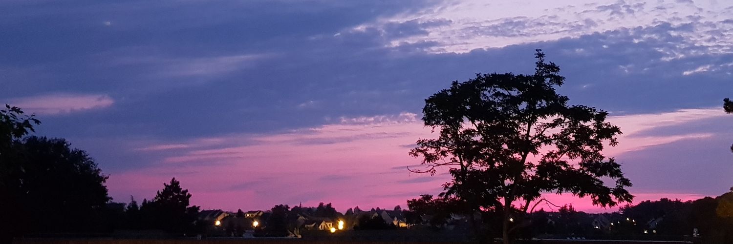tironelle's profile banner image