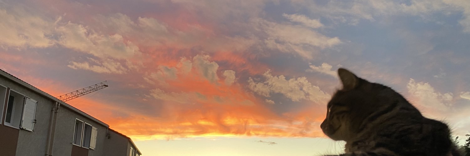 sunflow_lou's profile banner image