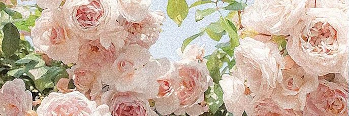 🔹H Σ L Σ N Δ🔹 banner