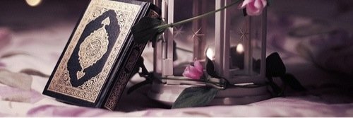 ranemoo2's profile banner image