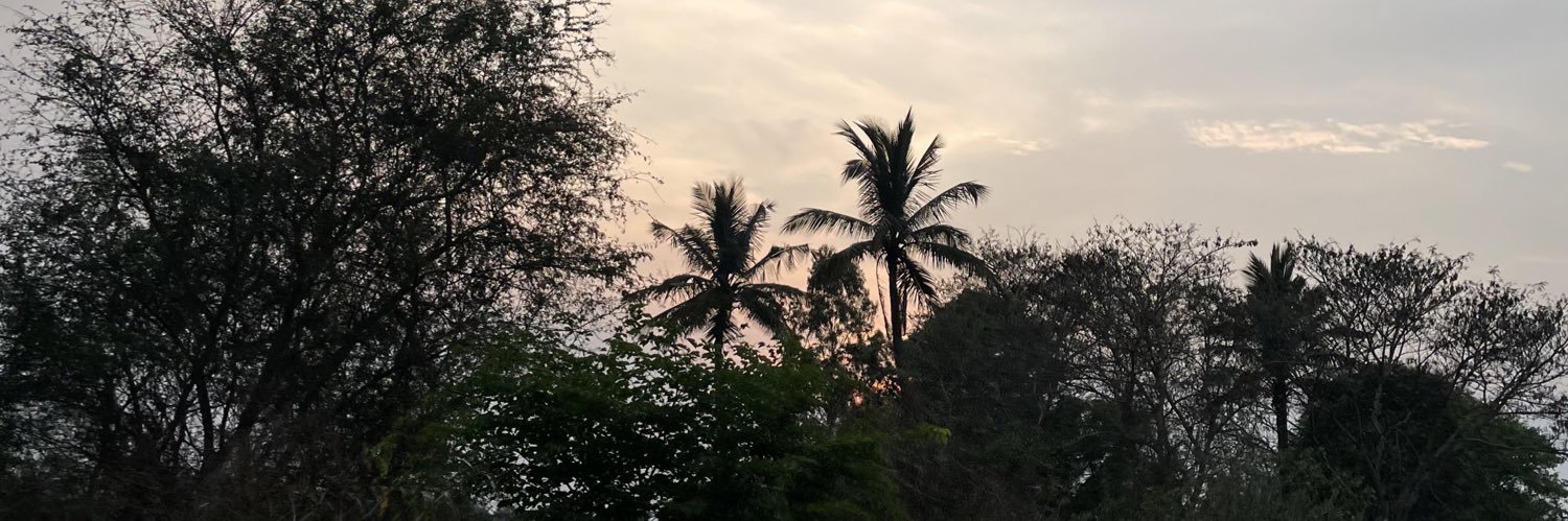 NallaVivek's profile banner image