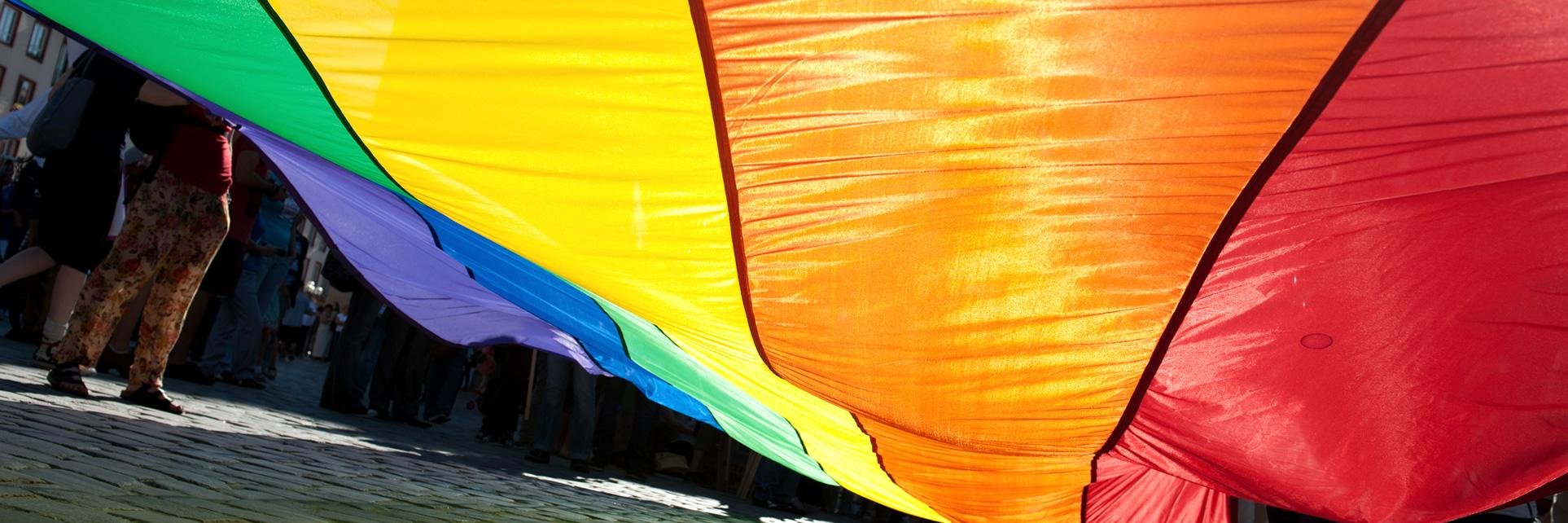LesbianRepublic's profile banner image