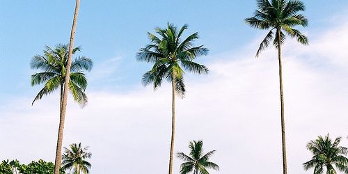 SarahGuillamon's profile banner image