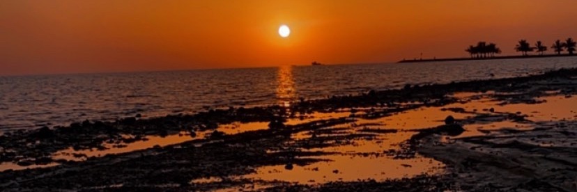 NabeelaMujtaba's profile banner image