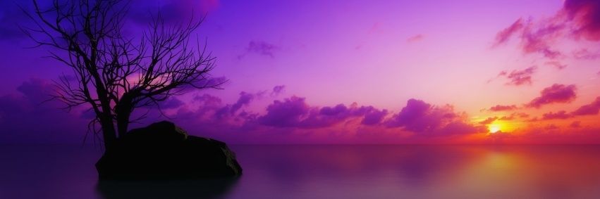 talaloo00's profile banner image