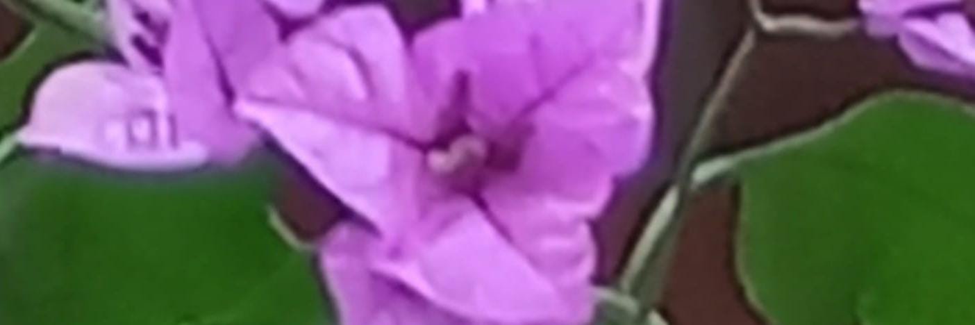 Dilek_net's profile banner image
