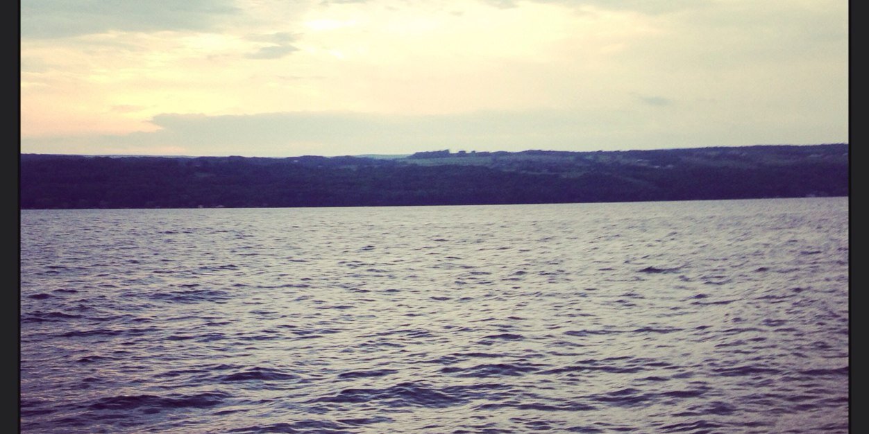 petrillose's profile banner image