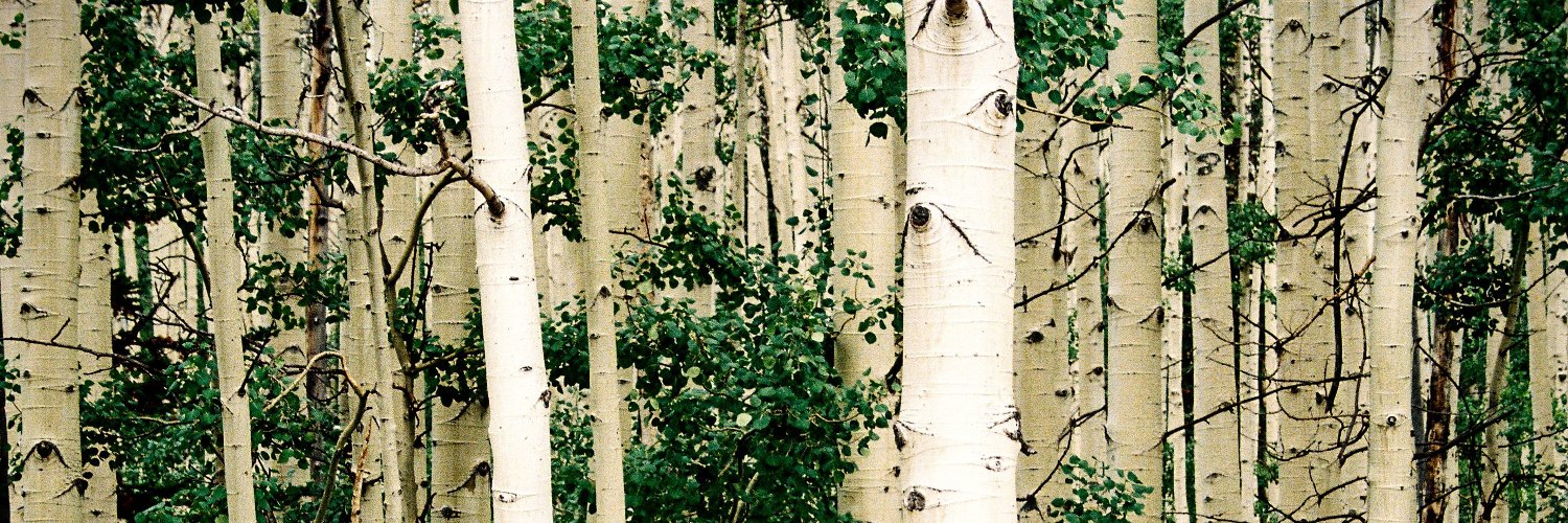 norvikpress's profile banner image