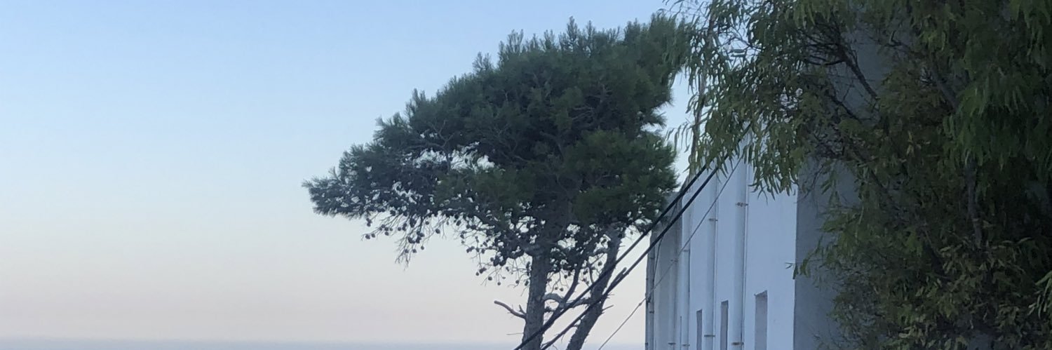 PazanneLCG's profile banner image