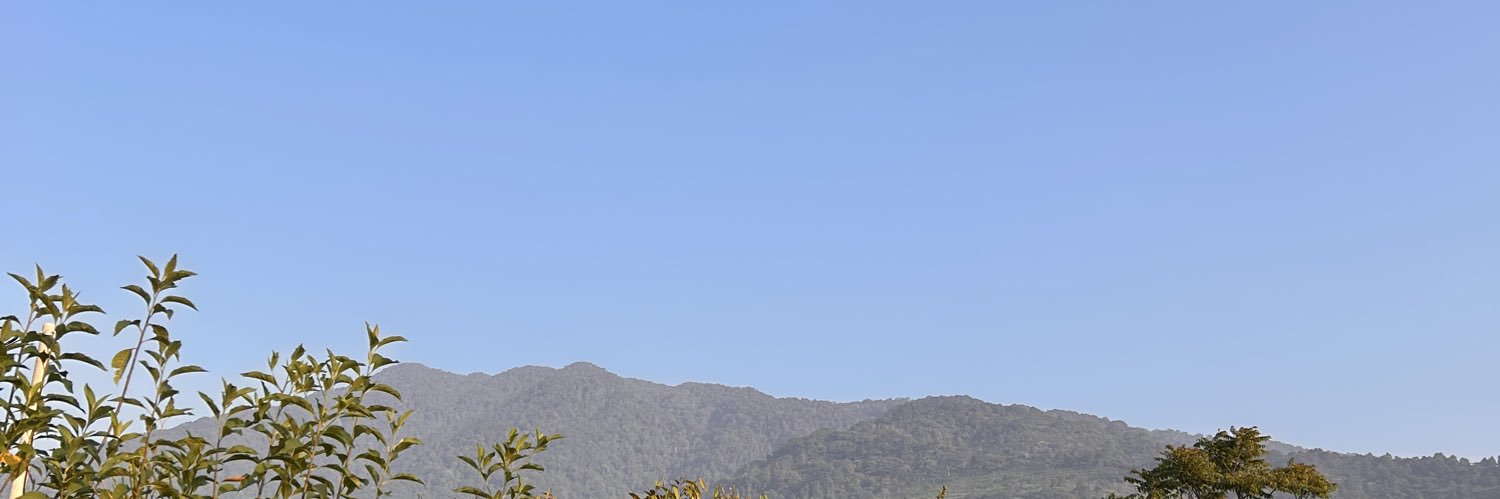 txtcortis's profile banner image