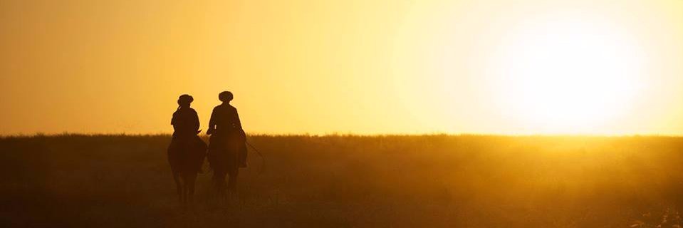 Bekrinal's profile banner image