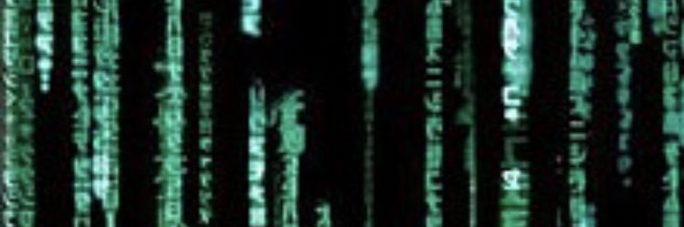 sva_xn's profile banner image