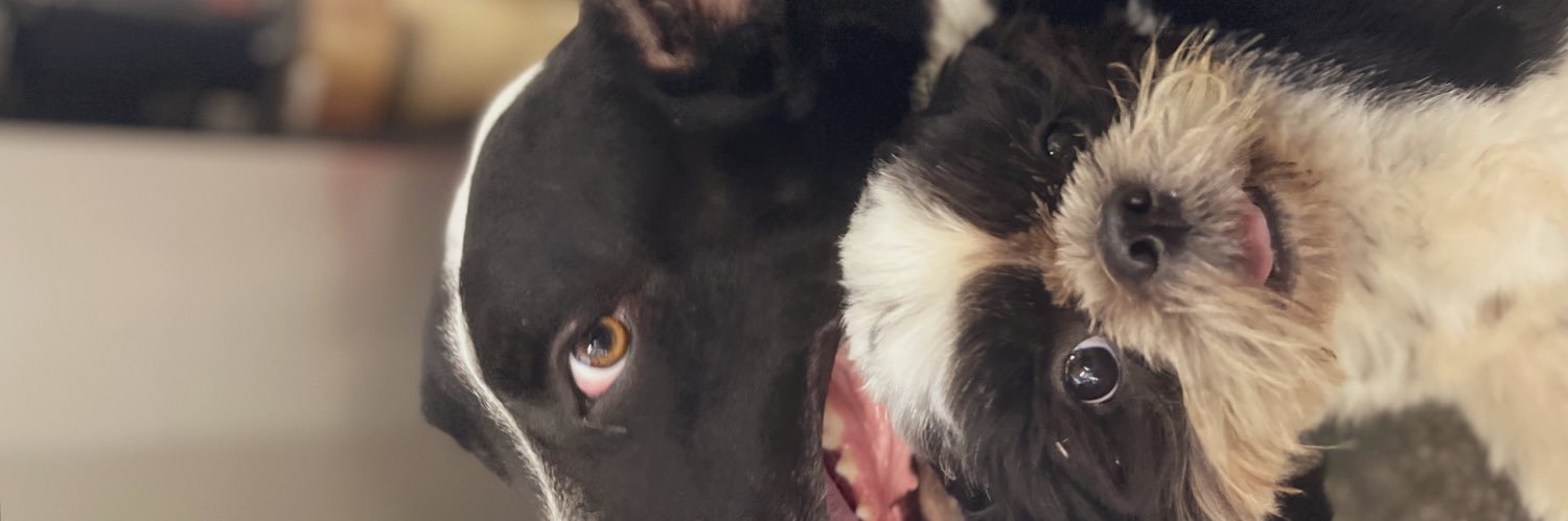 valentinabol_'s profile banner image