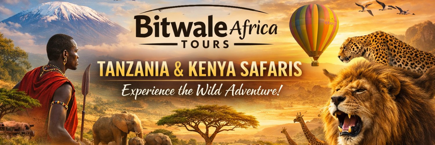 bitwale's profile banner image
