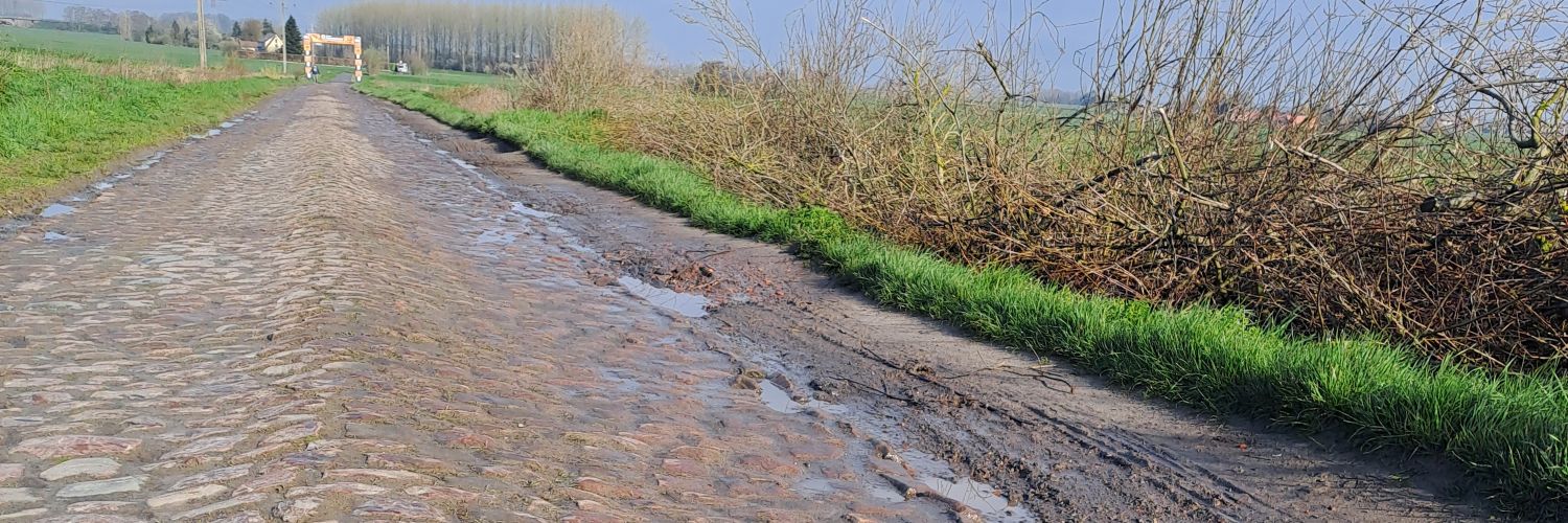 Dr Mel Bond MCCT banner