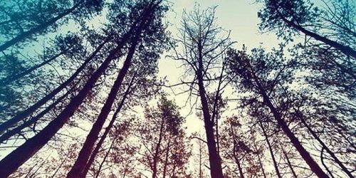 LorenaVaal's profile banner image