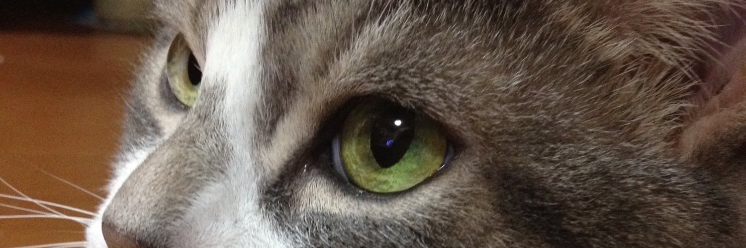 0608f's profile banner image