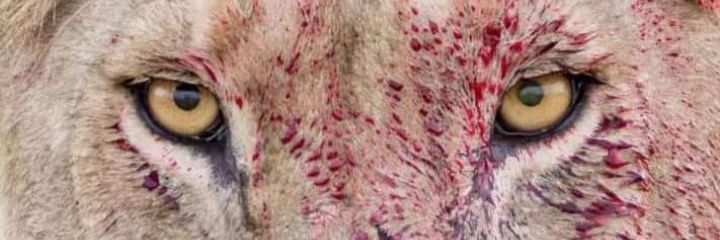 Ucheee94's profile banner image