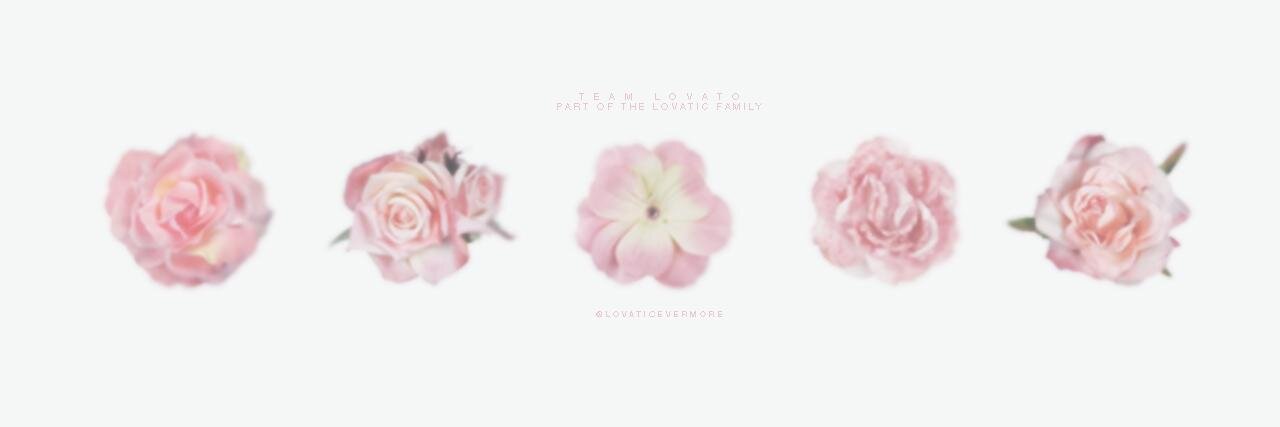 LovaticEvermore's profile banner image