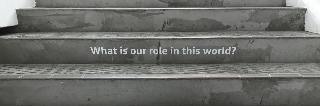 ctororod's profile banner image