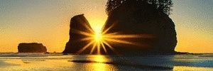 almzyani's profile banner image