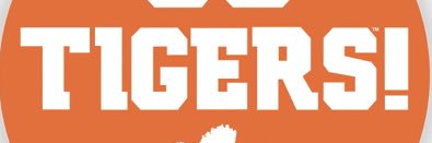 Coach John D'Arco banner