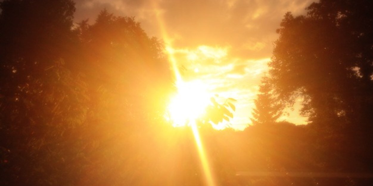 theatanzt's profile banner image