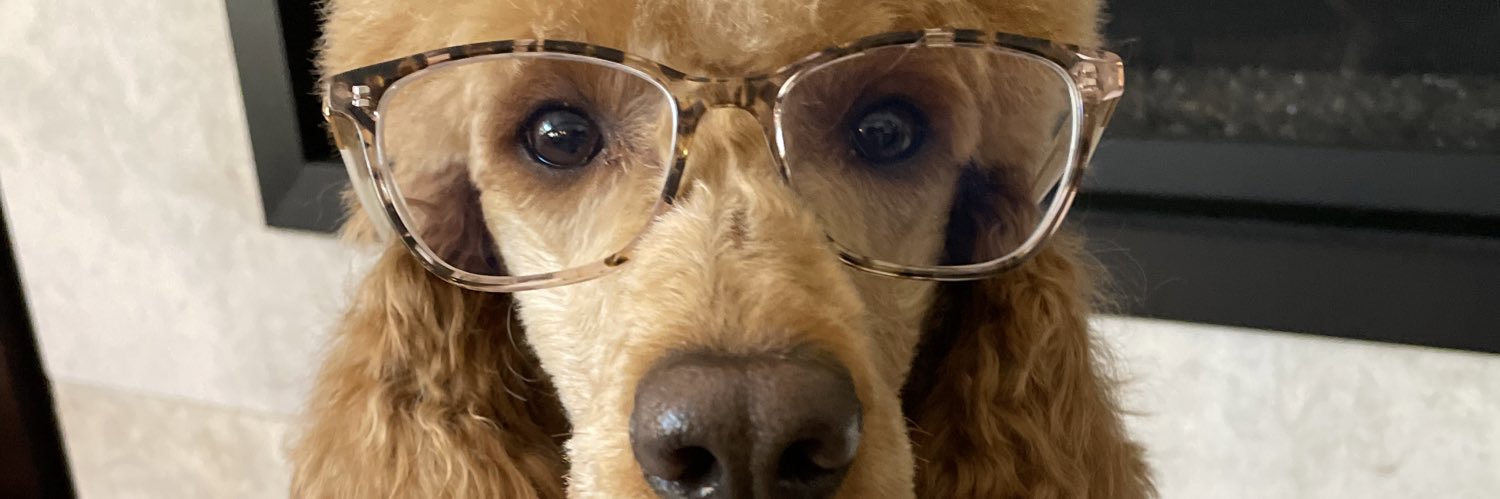 Skoit's profile banner image