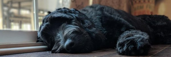 JZagorski1 Profile Banner