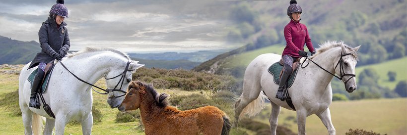 EQUUS banner