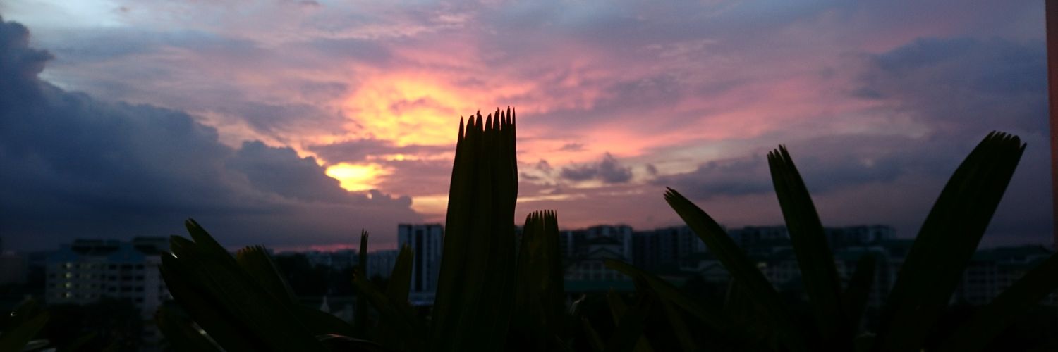 feistyskies's profile banner image