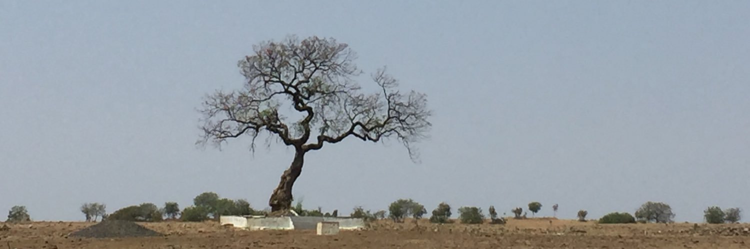 SAI BHASKAR REDDY N banner