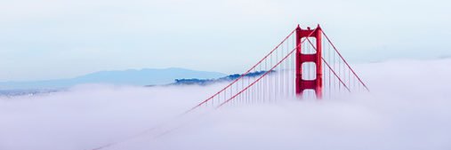 Tracy Hawkins 🫡💙 banner