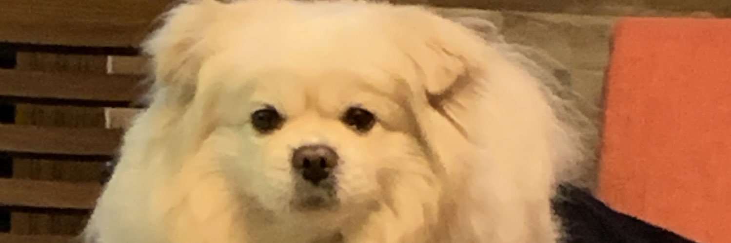 fpsnrjan's profile banner image