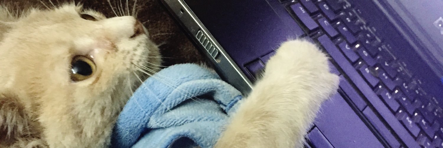 Chitrangda Sawhney banner