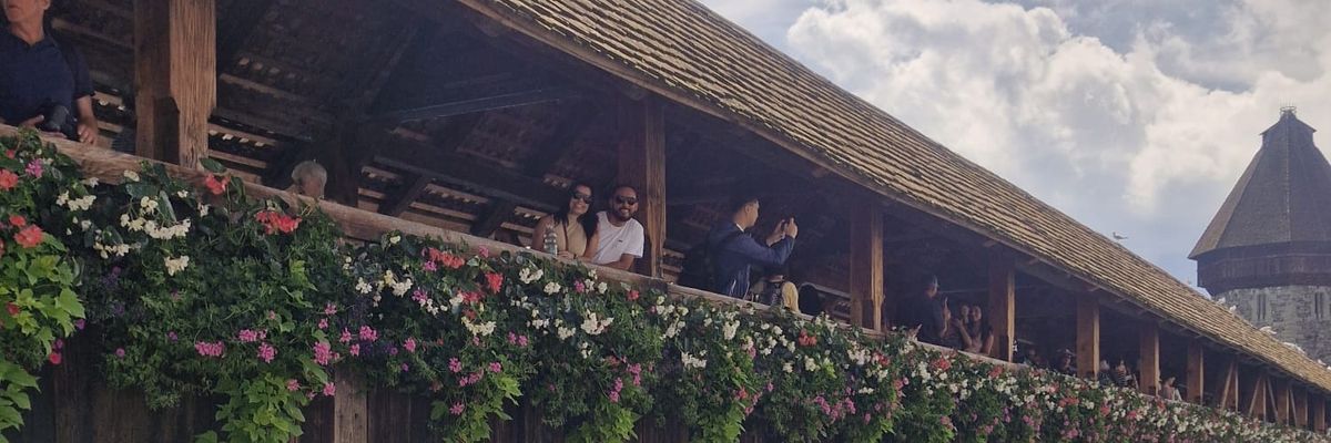 nancisilva's profile banner image