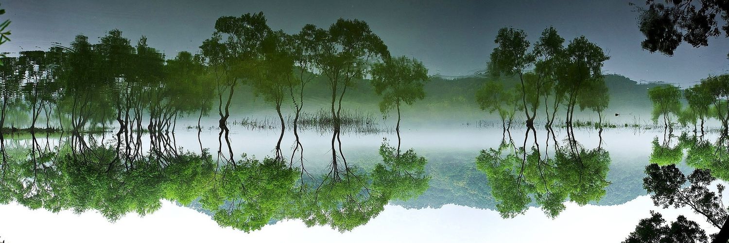 sam_c86's profile banner image