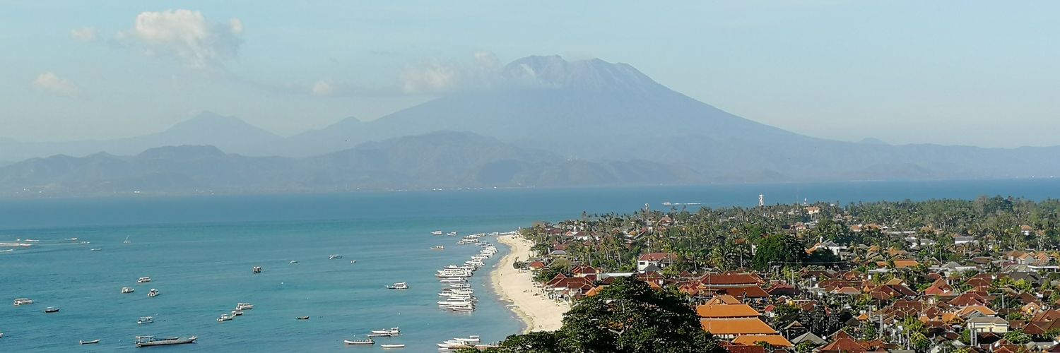 Pablo Strubell banner