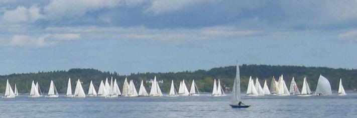 MaritimeInsight banner