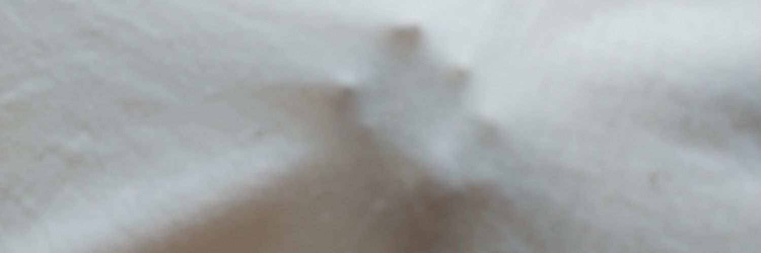 vladimir banner