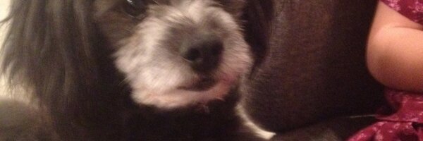 frddriver Profile Banner