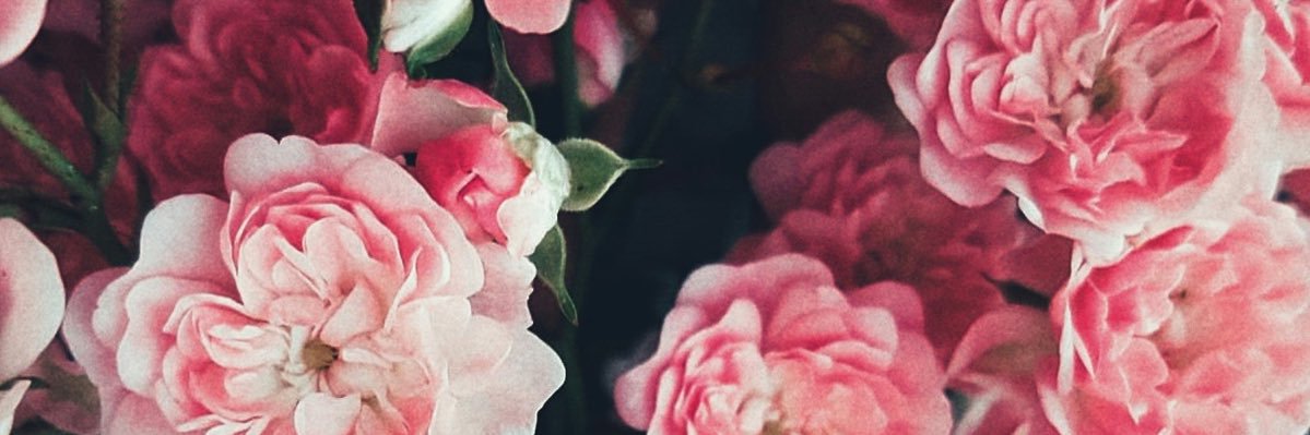 phlsphrsek's profile banner image