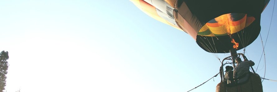 TheZebraGroup's profile banner image