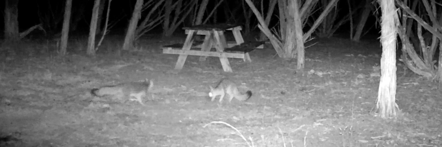 Tom of the Hills banner