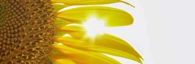 saamanthataylor's profile banner image