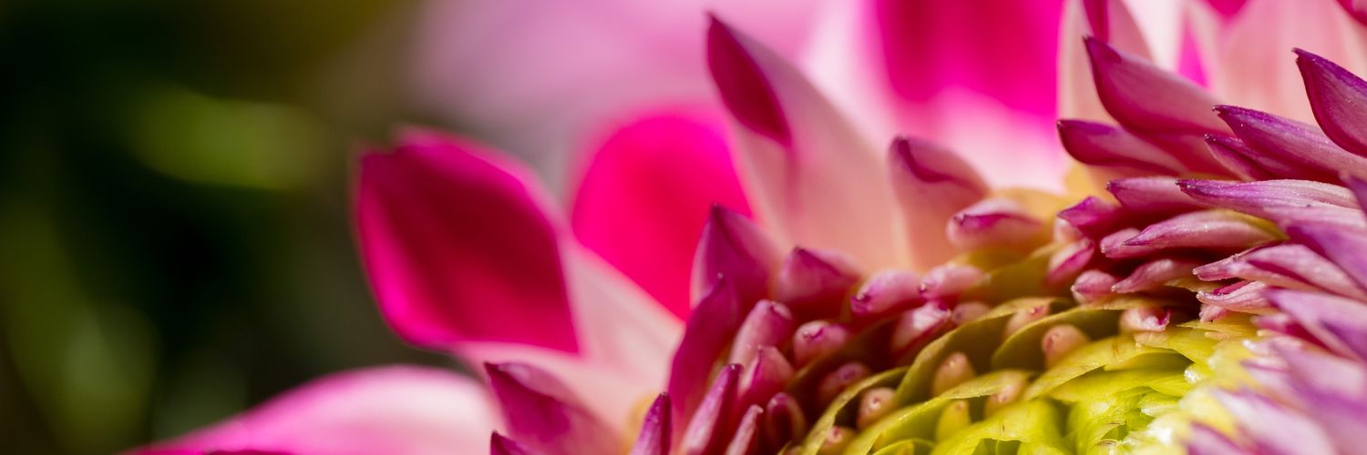ieppin's profile banner image