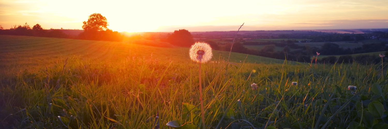 tab_sky_limit's profile banner image